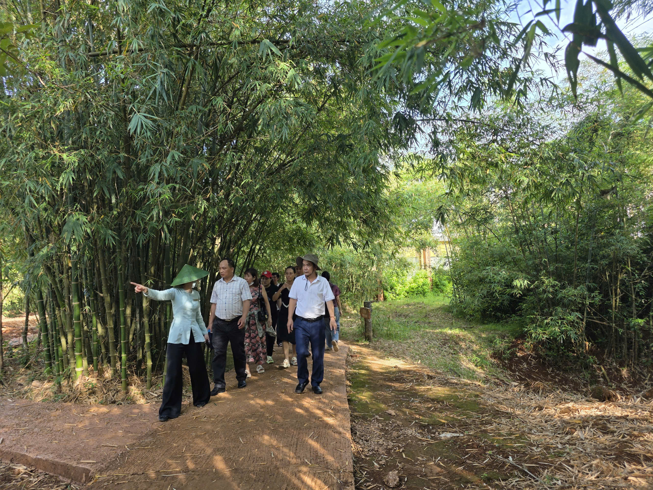 Tour Quảng Trị 1 ngày thăm quan các di sản