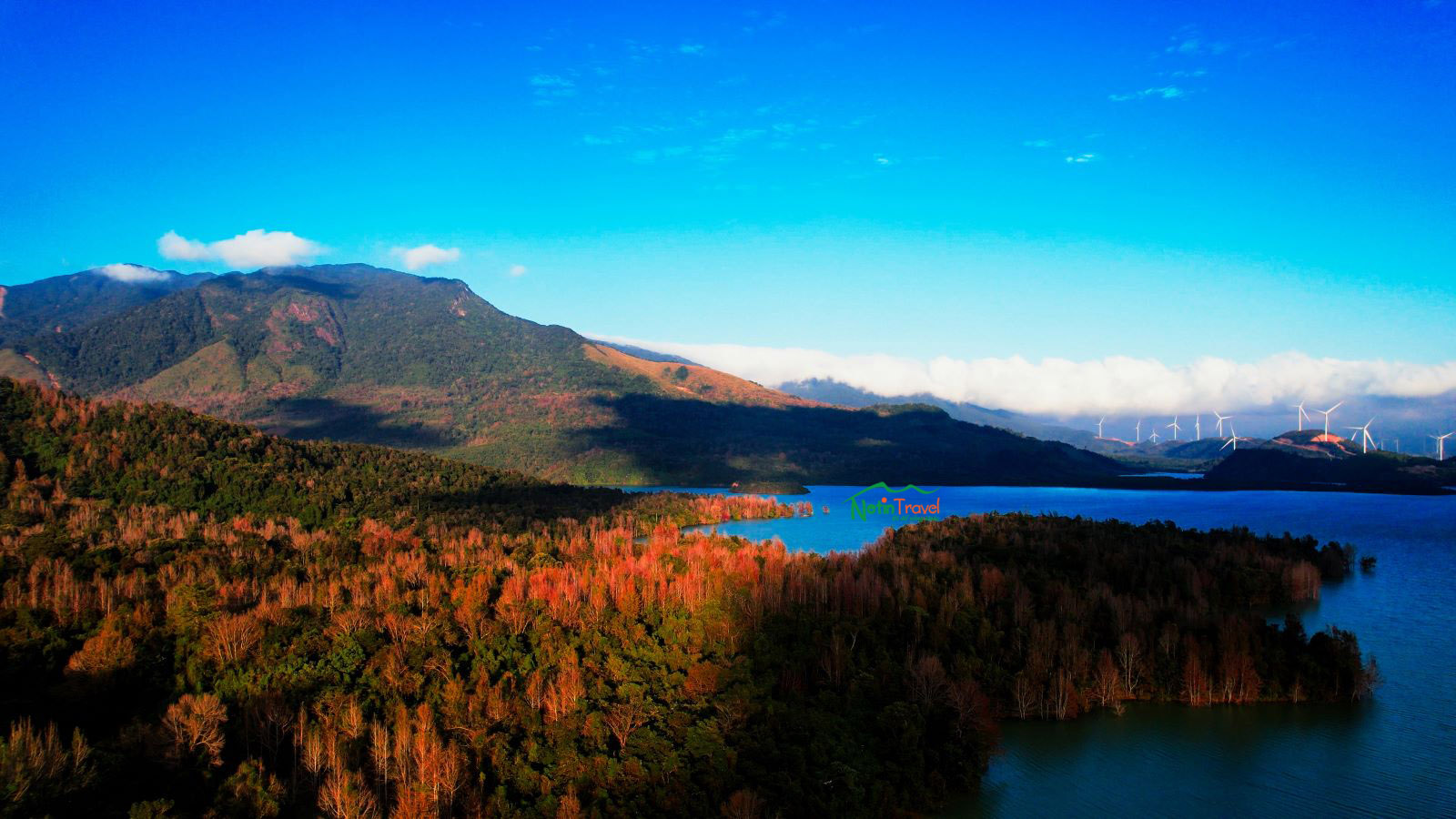 Rừng cây Lá phong bên Hồ Rào Quán