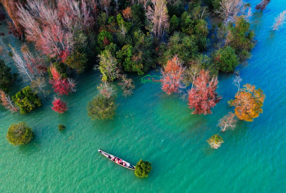 Checkin rừng lá phong Khe Sanh