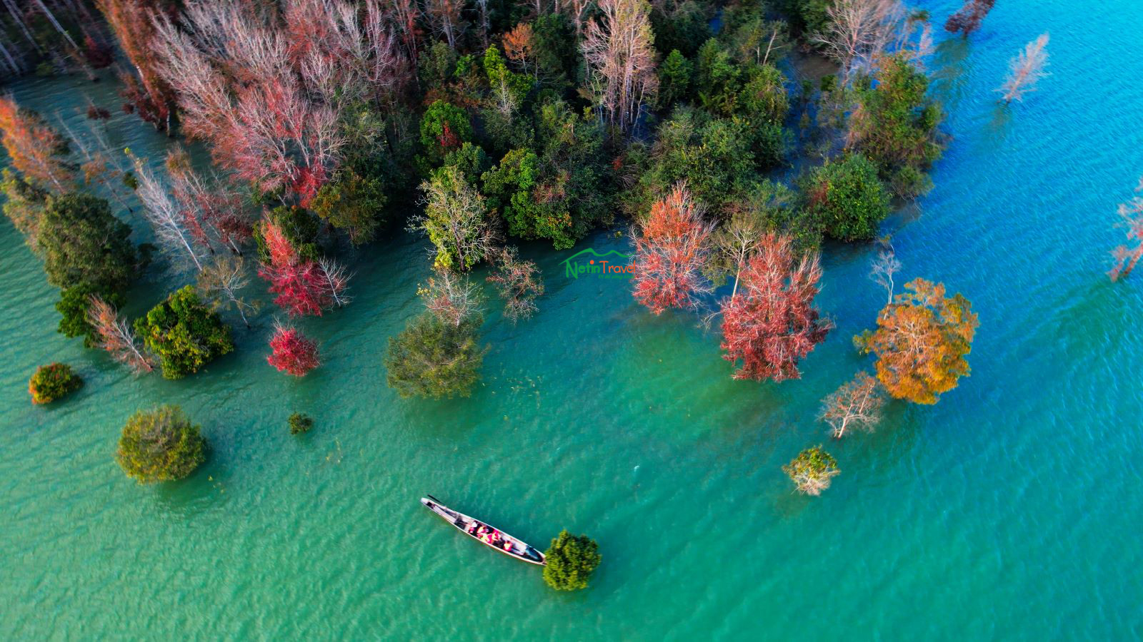 Checkin rừng lá phong Khe Sanh